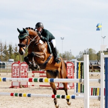 Hamre Ridsport - butiken med ridutrustning och ridkläder.