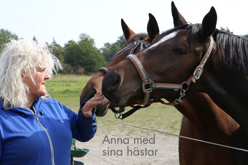 Anna med sina hästar